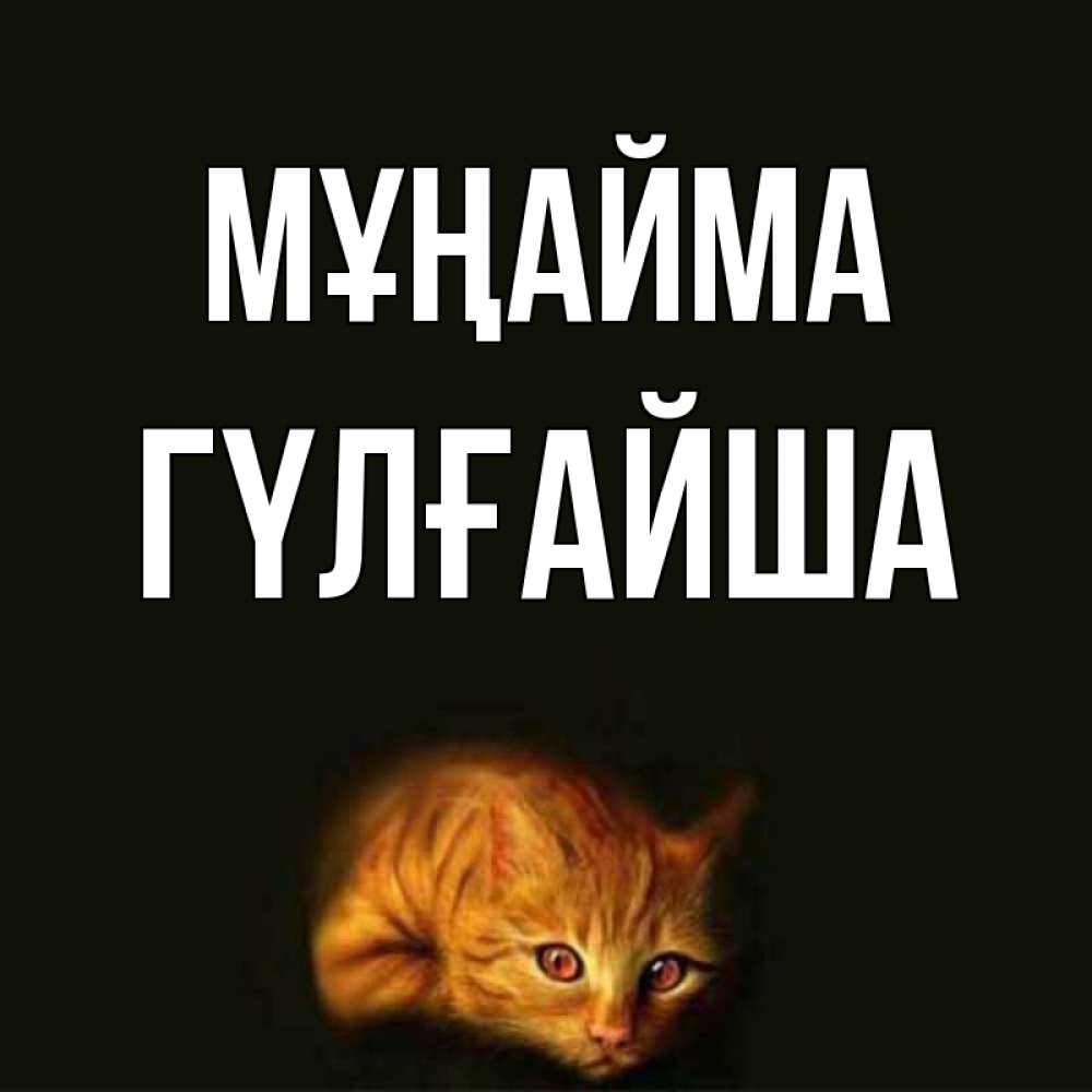 Күн сайын ашық хат с именем, ГҮЛҒАЙША Мұңайма лежащий кот в темноте Онлайн тегін жүктеп алу тілектері бар керемет карта 