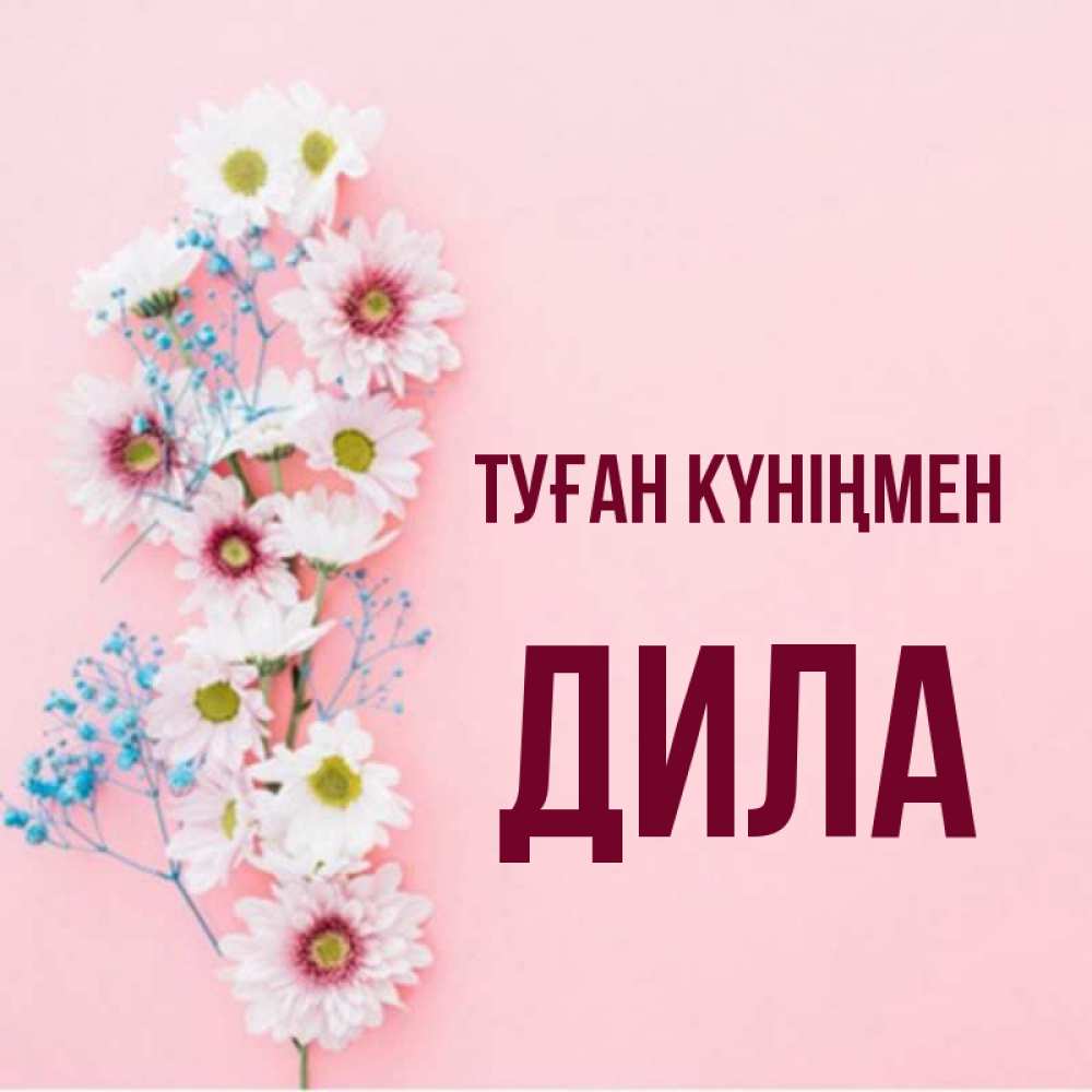 Күн сайын ашық хат с именем, ДИЛА Туған күніңмен Родная моя с днем рождения тебя картинка с цветами белыми и голубыми Онлайн тегін жүктеп алу тілектері бар керемет карта 