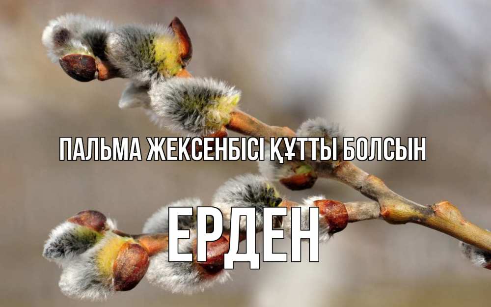 Күн сайын ашық хат с именем, Ерден Пальма жексенбісі құтты болсын Верба Онлайн тегін жүктеп алу тілектері бар керемет карта 