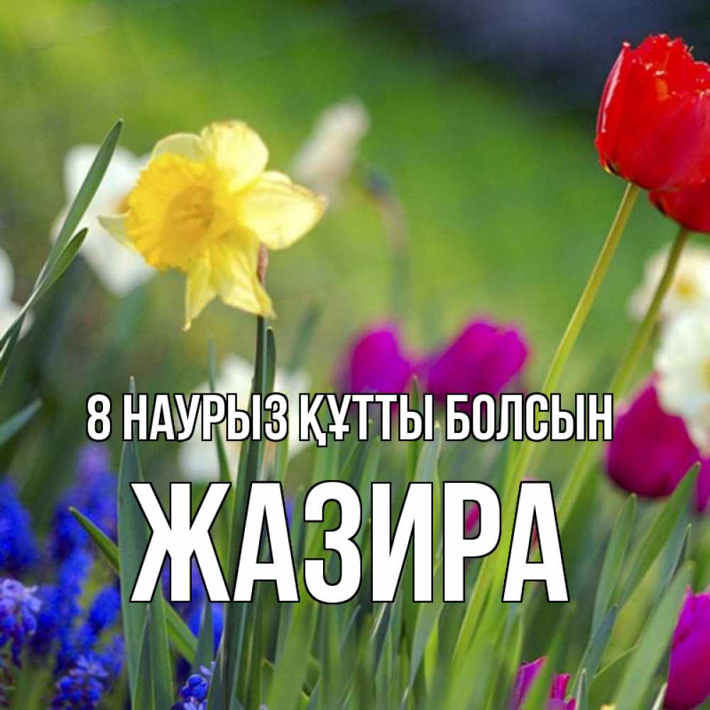 Күн сайын ашық хат с именем, ЖАЗИРА 8 наурыз құтты болсын международный женский день 3 Онлайн тегін жүктеп алу тілектері бар керемет карта 
