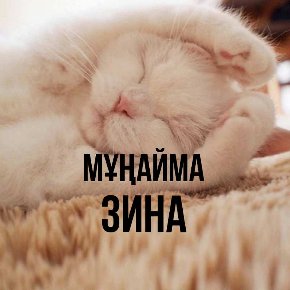 Күн сайын ашық хат с именем, Зина Мұңайма Котенок спит Онлайн тегін жүктеп алу тілектері бар керемет карта 