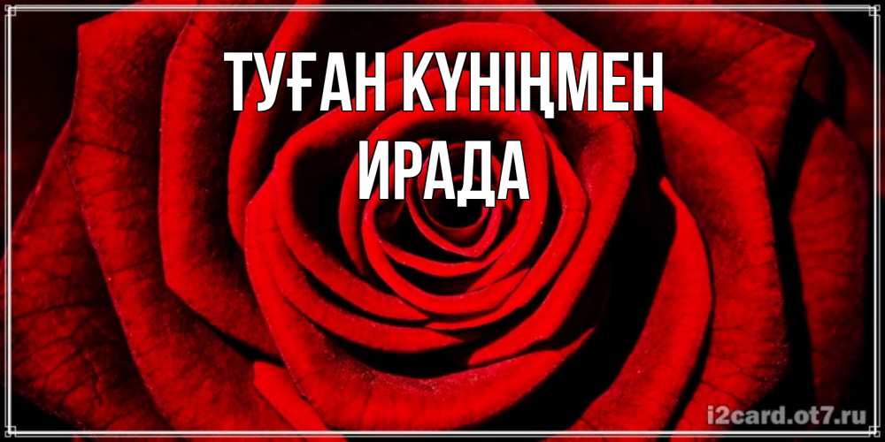 Күн сайын ашық хат с именем, ИРАДА Туған күніңмен алая роза Онлайн тегін жүктеп алу тілектері бар керемет карта 