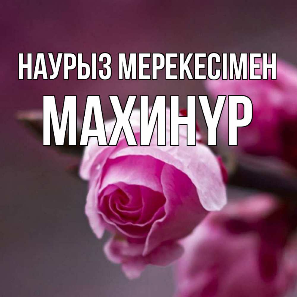 Күн сайын ашық хат с именем, МАХИНҮР Наурыз мерекесімен весна Онлайн тегін жүктеп алу тілектері бар керемет карта 