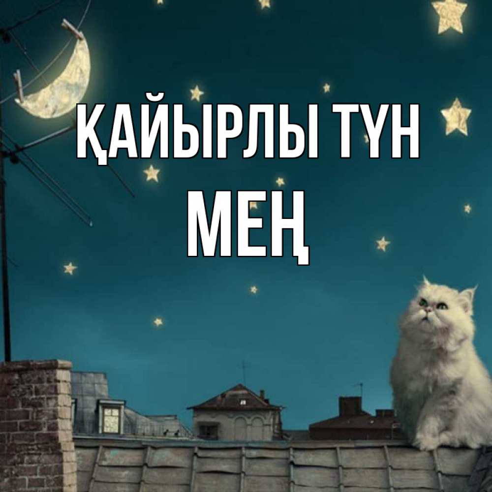 Күн сайын ашық хат с именем, МЕҢ Қайырлы түн белый кот сидит на крыше Онлайн тегін жүктеп алу тілектері бар керемет карта 