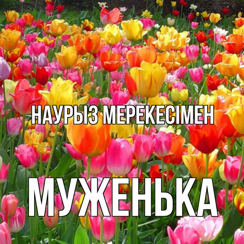 Күн сайын ашық хат с именем, Муженька Наурыз мерекесімен праздник весны наурыз 4 Онлайн тегін жүктеп алу тілектері бар керемет карта 