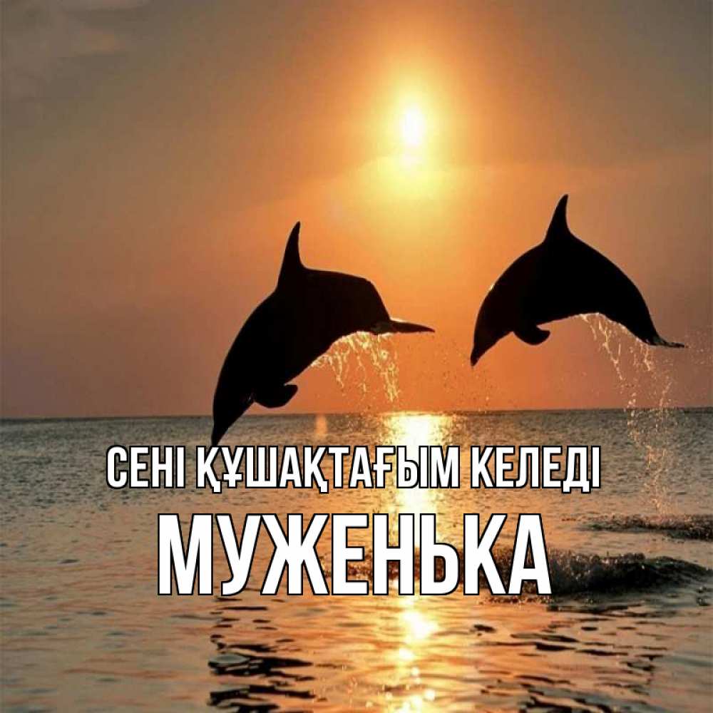 Күн сайын ашық хат с именем, Муженька сені құшақтағым келеді рыбы на закате Онлайн тегін жүктеп алу тілектері бар керемет карта 