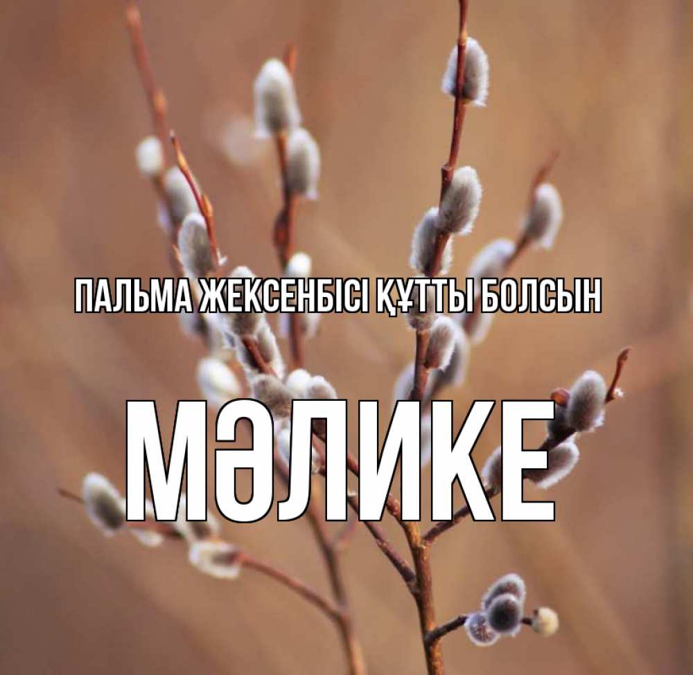 Күн сайын ашық хат с именем, МӘЛИКЕ Пальма жексенбісі құтты болсын верба Онлайн тегін жүктеп алу тілектері бар керемет карта 