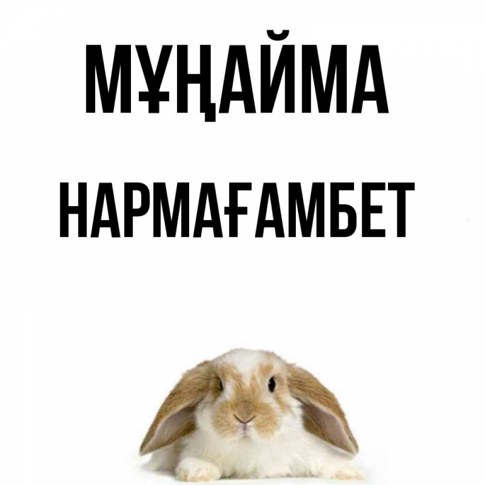 Күн сайын ашық хат с именем, НАРМАҒАМБЕТ Мұңайма коричнево белый заяц с большими ушками Онлайн тегін жүктеп алу тілектері бар керемет карта 