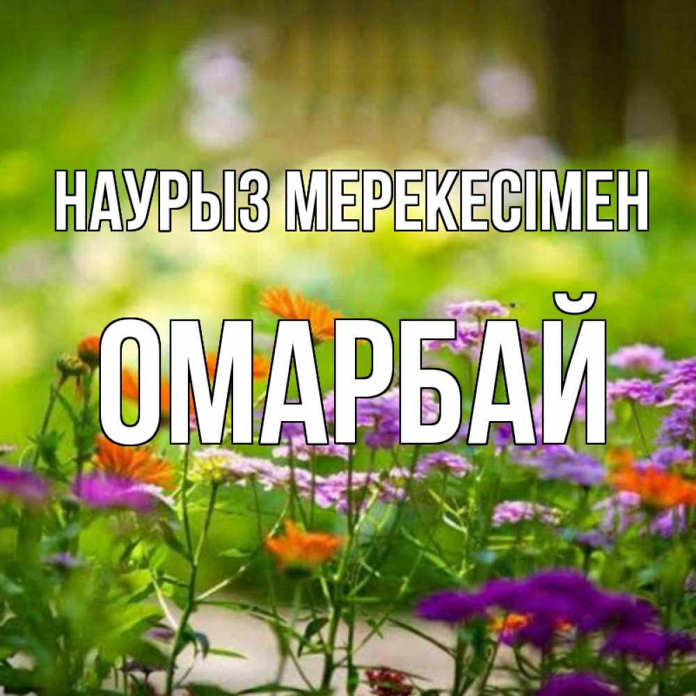Күн сайын ашық хат с именем, ОМАРБАЙ Наурыз мерекесімен цветы Онлайн тегін жүктеп алу тілектері бар керемет карта 