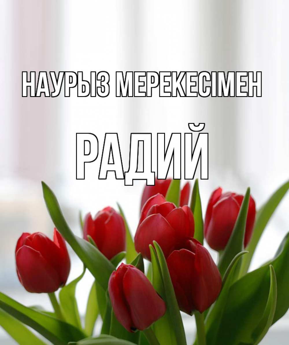 Күн сайын ашық хат с именем, Радий Наурыз мерекесімен полевые цветы Онлайн тегін жүктеп алу тілектері бар керемет карта 