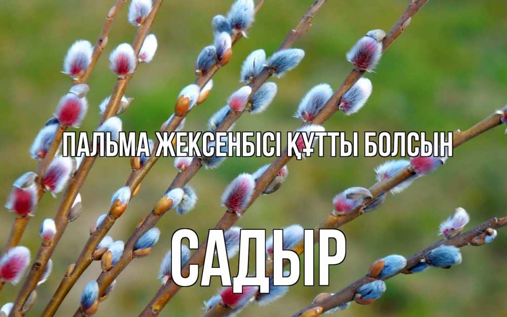 Күн сайын ашық хат с именем, САДЫР Пальма жексенбісі құтты болсын верба Онлайн тегін жүктеп алу тілектері бар керемет карта 