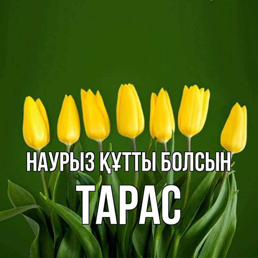 Күн сайын ашық хат с именем, Тарас Наурыз құтты болсын желтого цвета 3 Онлайн тегін жүктеп алу тілектері бар керемет карта 