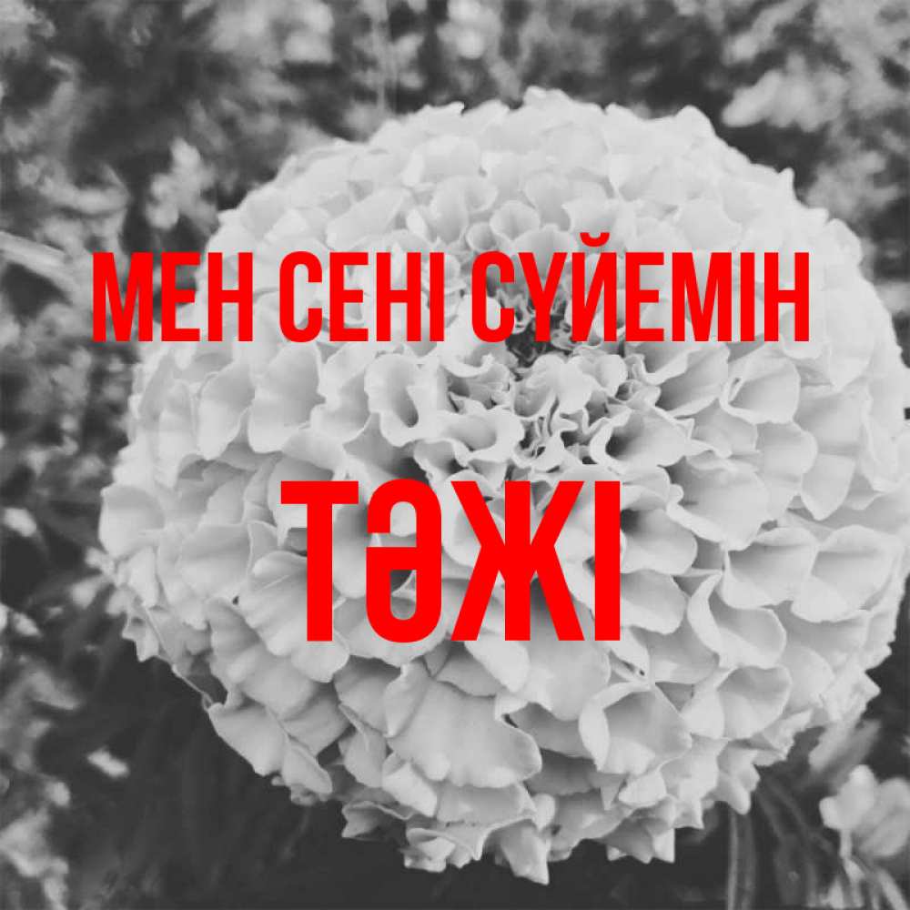 Күн сайын ашық хат с именем, ТӘЖІ Мен сені сүйемін подпись Онлайн тегін жүктеп алу тілектері бар керемет карта 