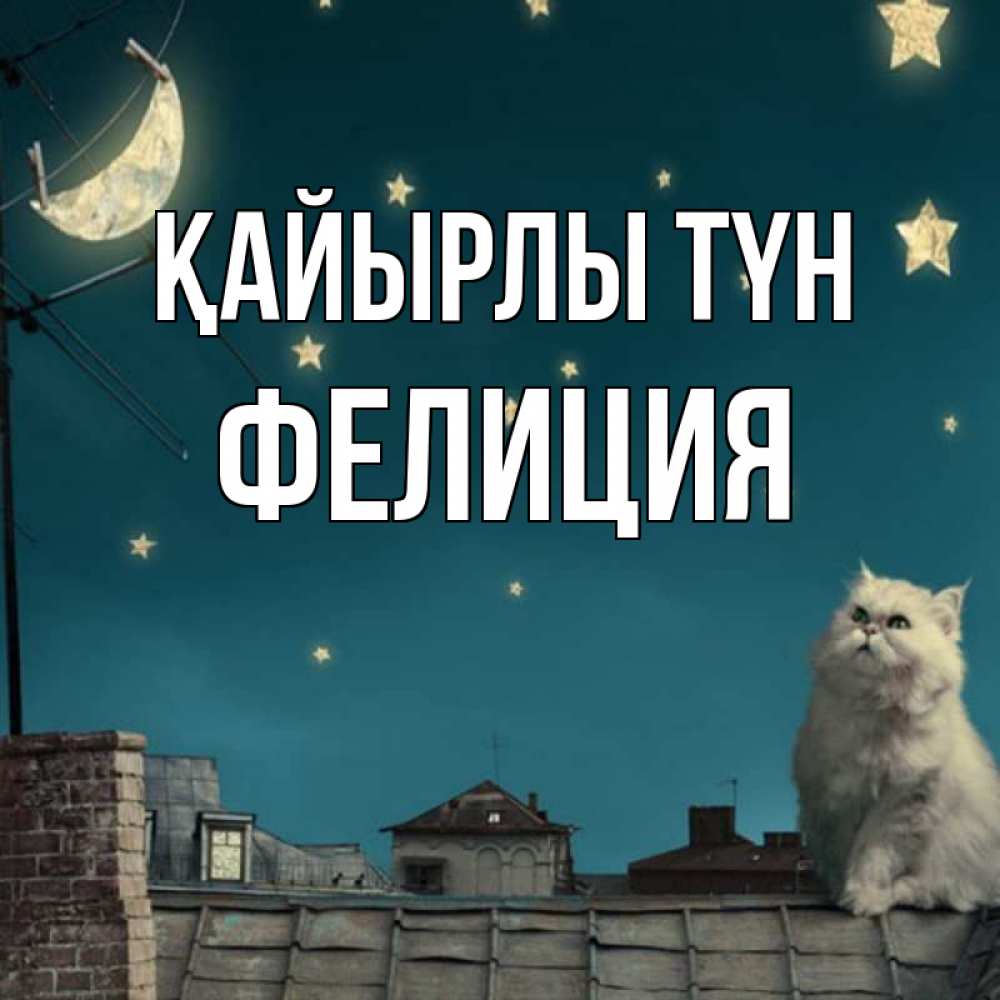 Күн сайын ашық хат с именем, Фелиция Қайырлы түн белый кот сидит на крыше Онлайн тегін жүктеп алу тілектері бар керемет карта 