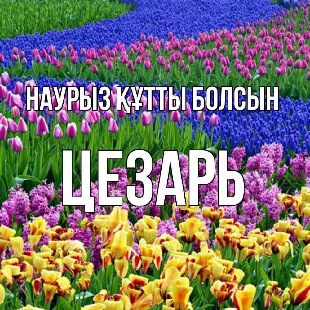 Күн сайын ашық хат с именем, Цезарь Наурыз құтты болсын цветы Онлайн тегін жүктеп алу тілектері бар керемет карта 