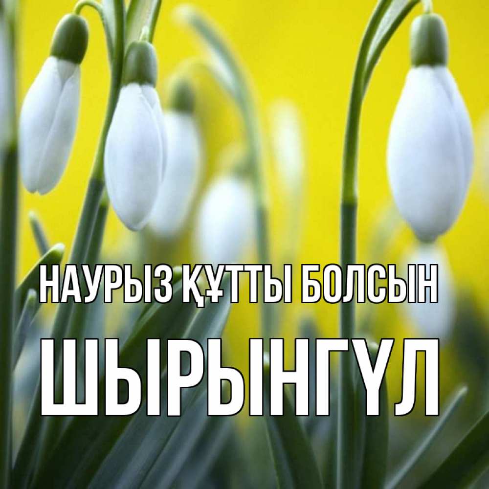Күн сайын ашық хат с именем, ШЫРЫНГҮЛ Наурыз құтты болсын весенние цветы Онлайн тегін жүктеп алу тілектері бар керемет карта 
