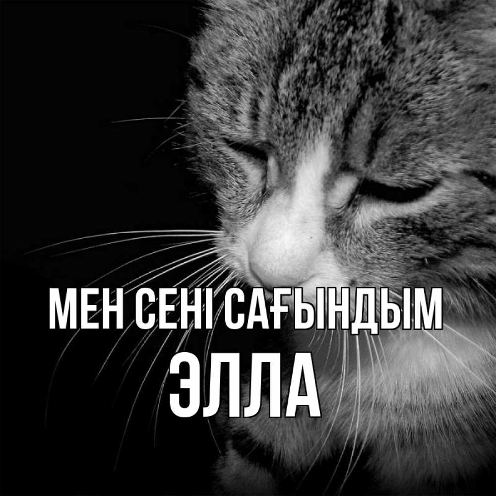 Күн сайын ашық хат с именем, Элла Мен сені сағындым мне скучно Онлайн тегін жүктеп алу тілектері бар керемет карта 