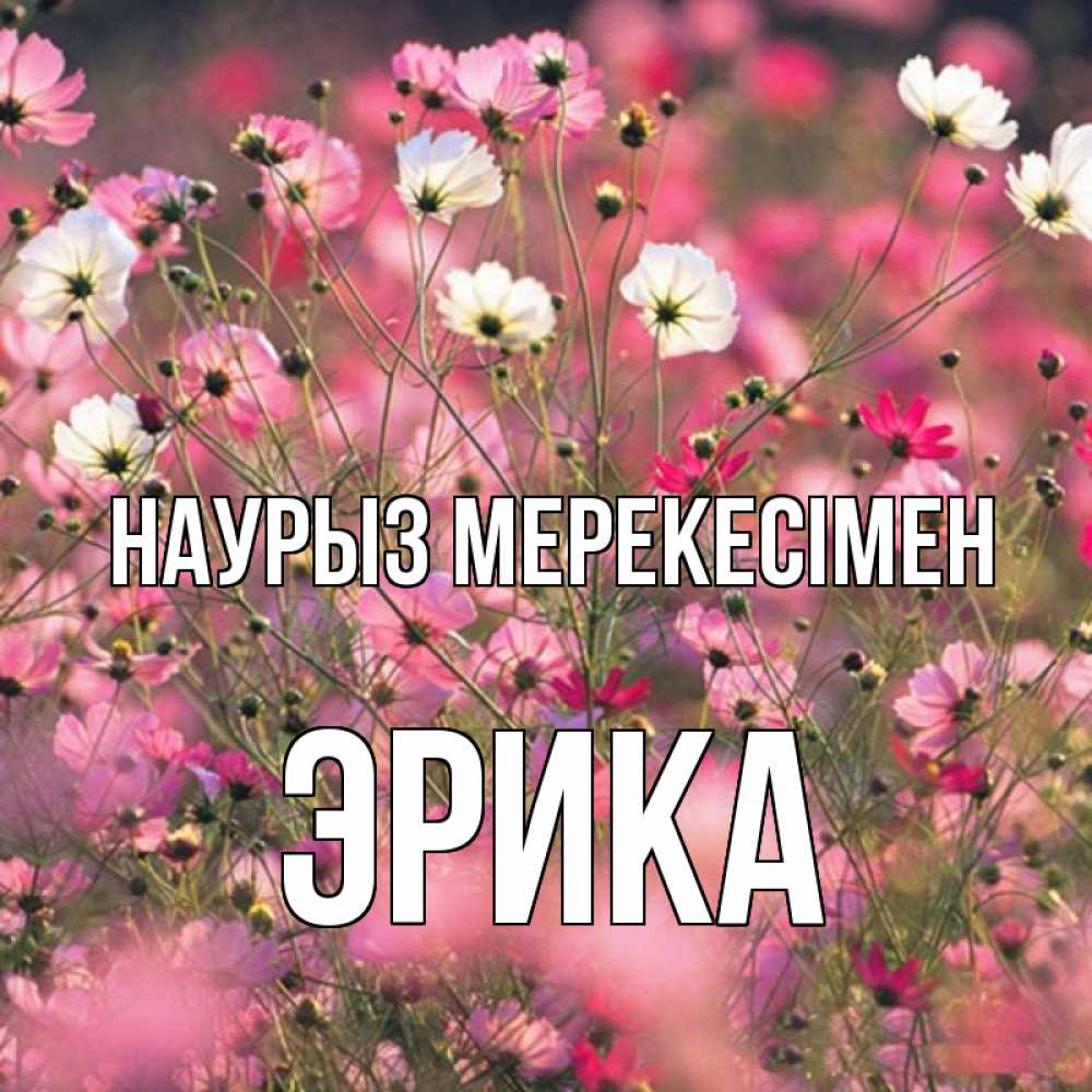 Күн сайын ашық хат с именем, Эрика Наурыз мерекесімен красиво 1 Онлайн тегін жүктеп алу тілектері бар керемет карта 