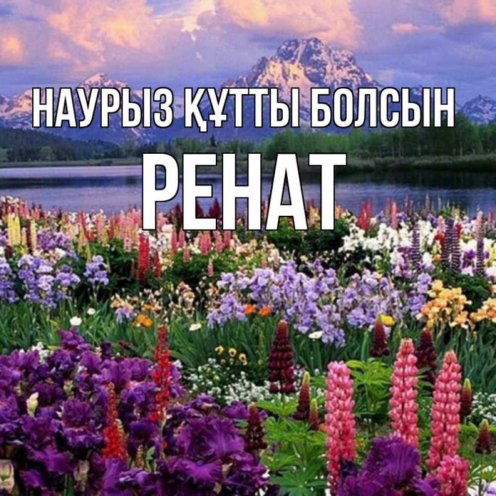 Күн сайын ашық хат с именем, РЕНАТ Наурыз құтты болсын наурыз Онлайн тегін жүктеп алу тілектері бар керемет карта 