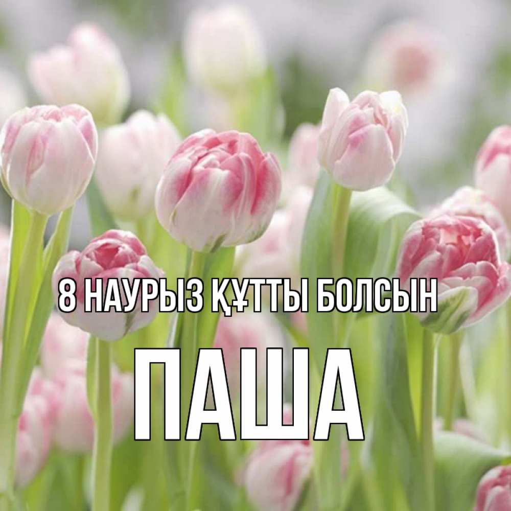 Күн сайын ашық хат с именем, Паша 8 наурыз құтты болсын цветы Онлайн тегін жүктеп алу тілектері бар керемет карта 