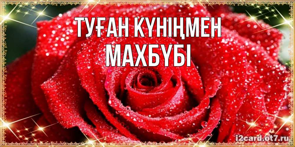 Күн сайын ашық хат с именем, МАХБҮБІ Туған күніңмен роса и роза. открытка с красивой розой Онлайн тегін жүктеп алу тілектері бар керемет карта 