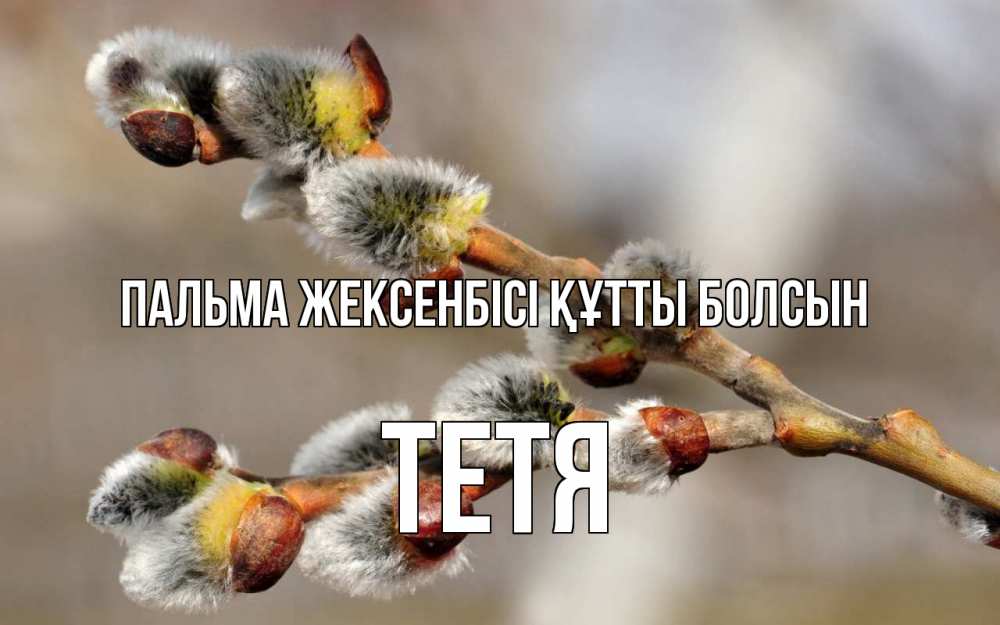Картинка Пальма жексенбісі құтты болсын, Тетя