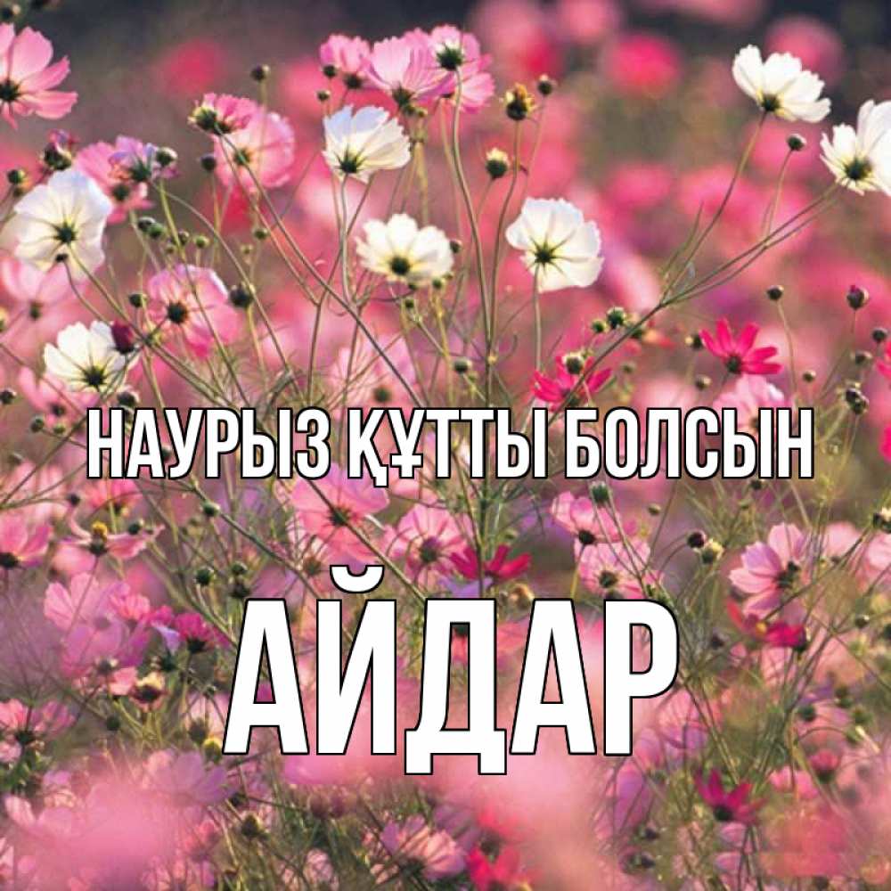 Күн сайын ашық хат с именем, Айдар Наурыз құтты болсын красиво 1 Онлайн тегін жүктеп алу тілектері бар керемет карта 