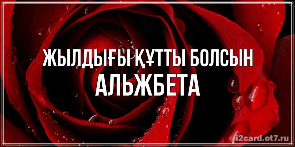 Күн сайын ашық хат с именем, Альжбета Жылдығы құтты болсын крупная бордовая роза Онлайн тегін жүктеп алу тілектері бар керемет карта 