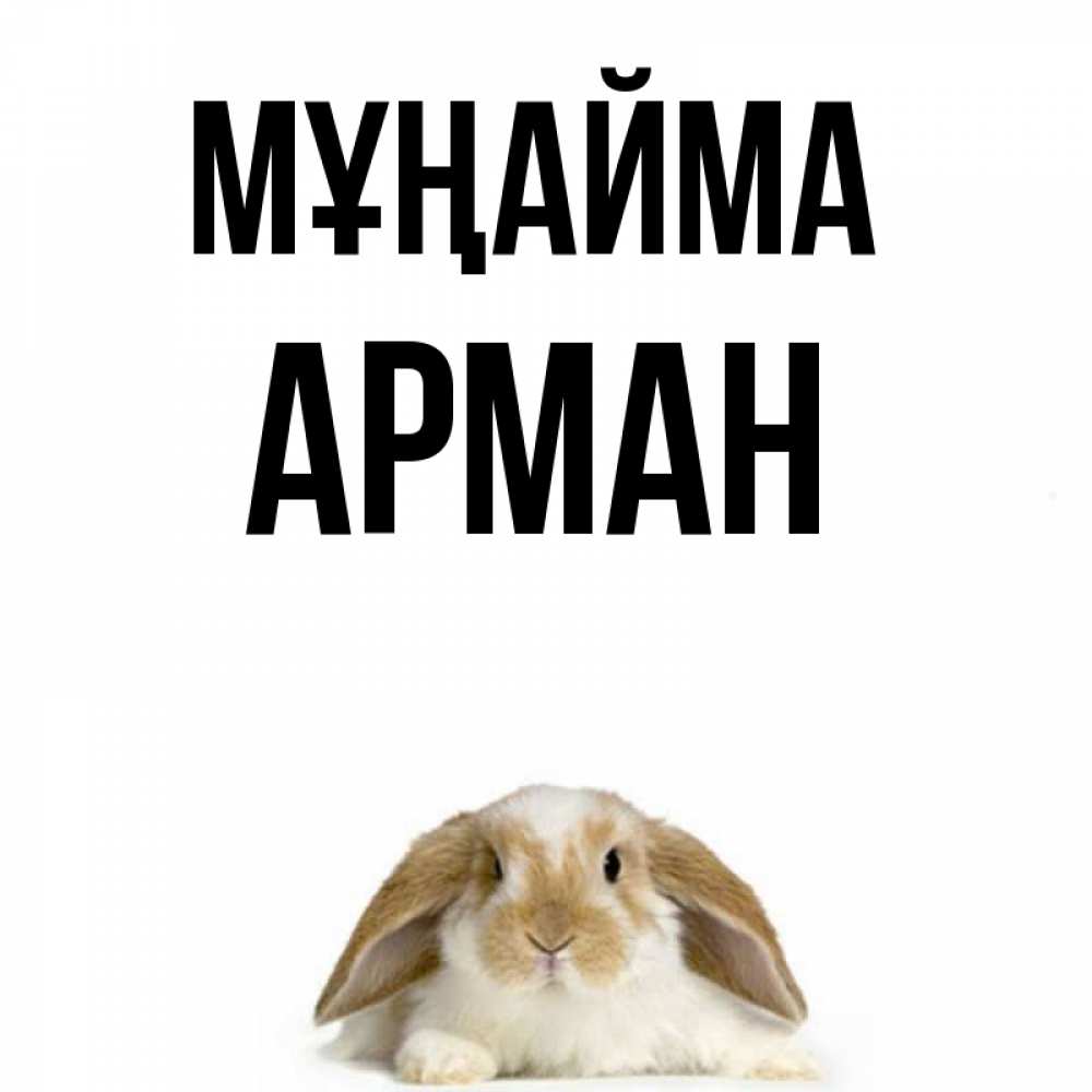 Күн сайын ашық хат с именем, Арман Мұңайма коричнево белый заяц с большими ушками Онлайн тегін жүктеп алу тілектері бар керемет карта 