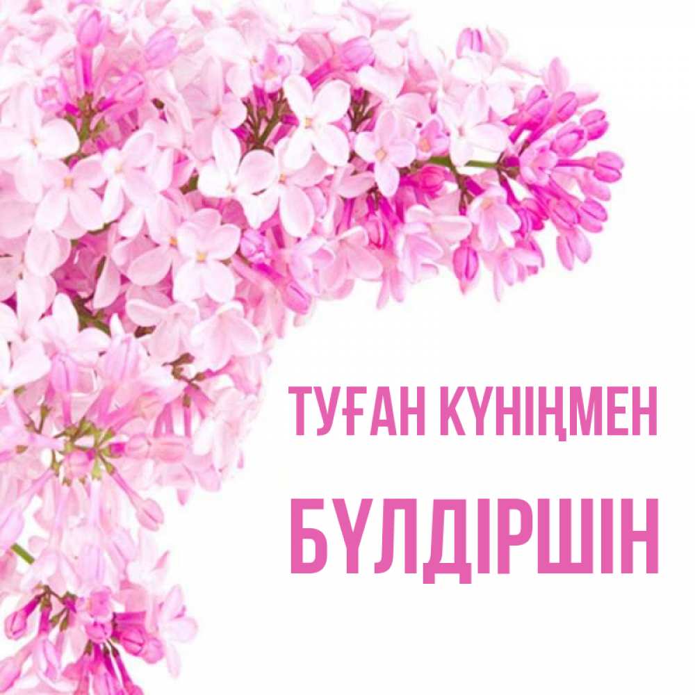 Күн сайын ашық хат с именем, БҮЛДІРШІН Туған күніңмен Сирень на белом фоне Онлайн тегін жүктеп алу тілектері бар керемет карта 