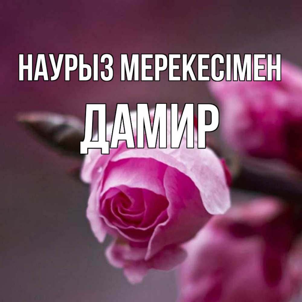 Күн сайын ашық хат с именем, Дамир Наурыз мерекесімен весна Онлайн тегін жүктеп алу тілектері бар керемет карта 