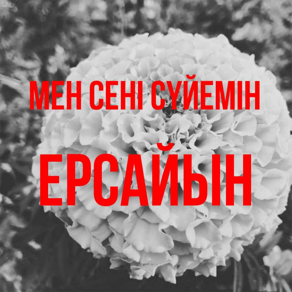 Күн сайын ашық хат с именем, Ерсайын Мен сені сүйемін подпись Онлайн тегін жүктеп алу тілектері бар керемет карта 