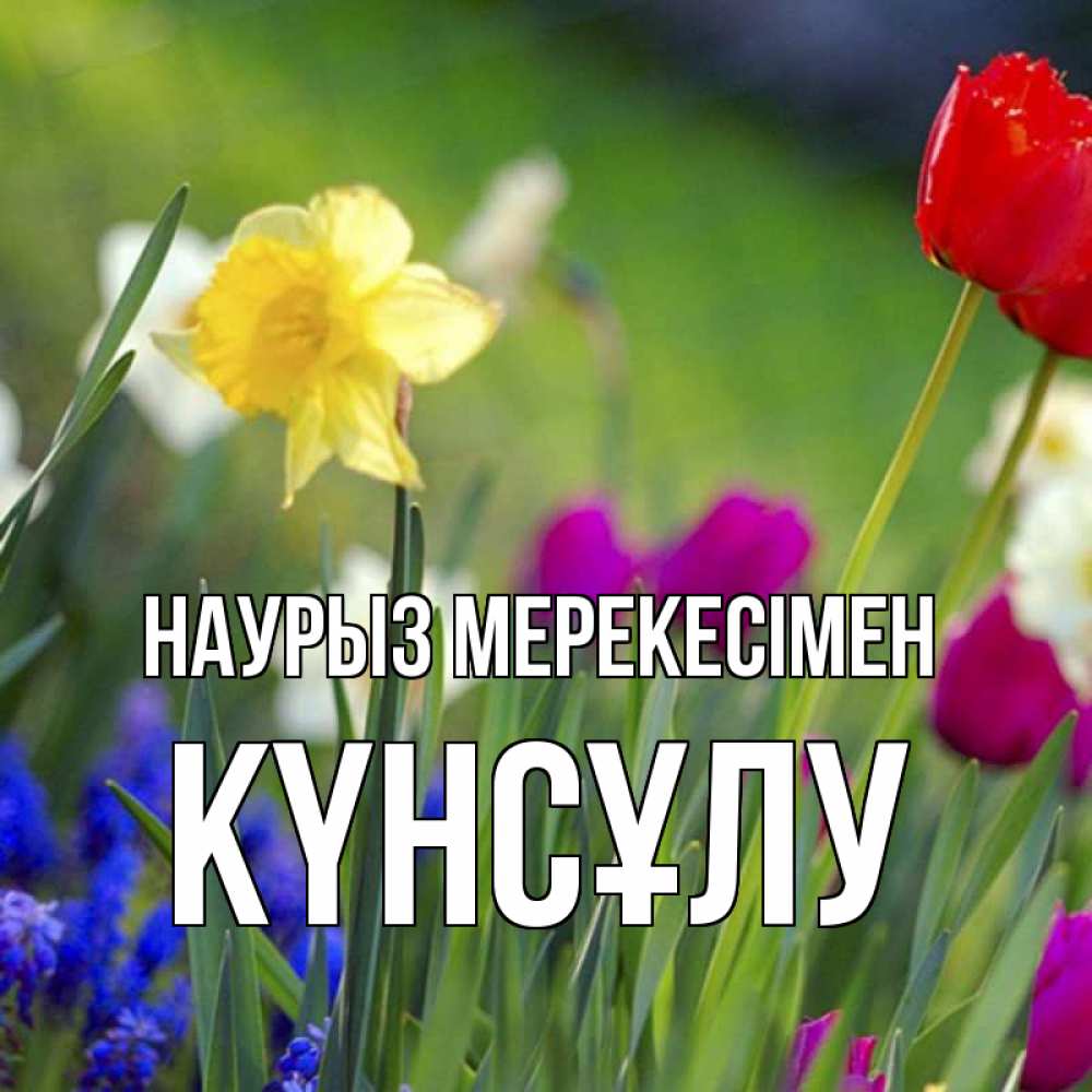 Күн сайын ашық хат с именем, КҮНСҰЛУ Наурыз мерекесімен праздник весны наурыз 3 Онлайн тегін жүктеп алу тілектері бар керемет карта 