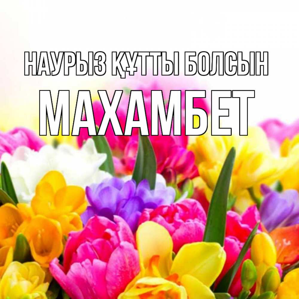 Күн сайын ашық хат с именем, МАХАМБЕТ Наурыз құтты болсын тюльпаны Онлайн тегін жүктеп алу тілектері бар керемет карта 