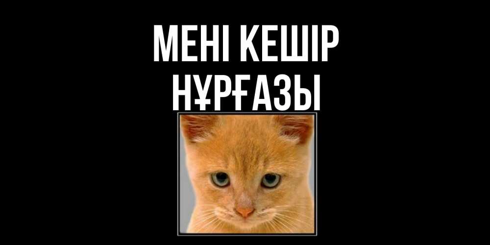 Күн сайын ашық хат с именем, НҰРҒАЗЫ Мені кешір рыжий грустный кот просит прощения Онлайн тегін жүктеп алу тілектері бар керемет карта 