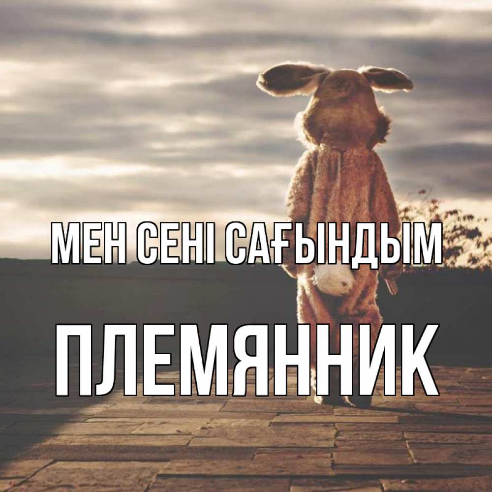 Күн сайын ашық хат с именем, Племянник Мен сені сағындым даже в костюме зайца Онлайн тегін жүктеп алу тілектері бар керемет карта 