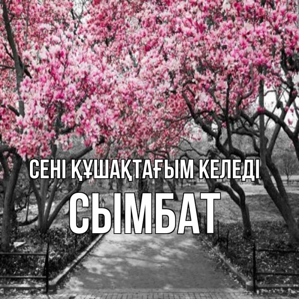 Күн сайын ашық хат с именем, СЫМБАТ сені құшақтағым келеді обработанное фото Онлайн тегін жүктеп алу тілектері бар керемет карта 