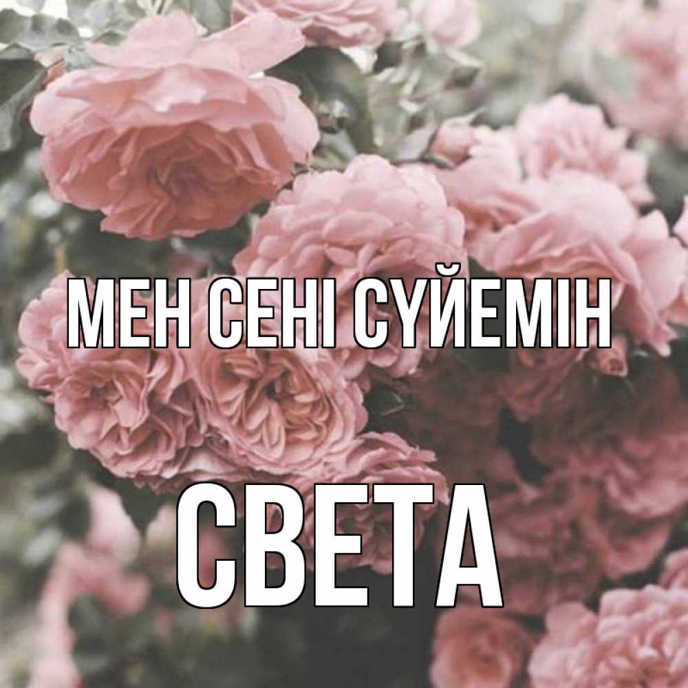 Күн сайын ашық хат с именем, Света Мен сені сүйемін розы 3 Онлайн тегін жүктеп алу тілектері бар керемет карта 