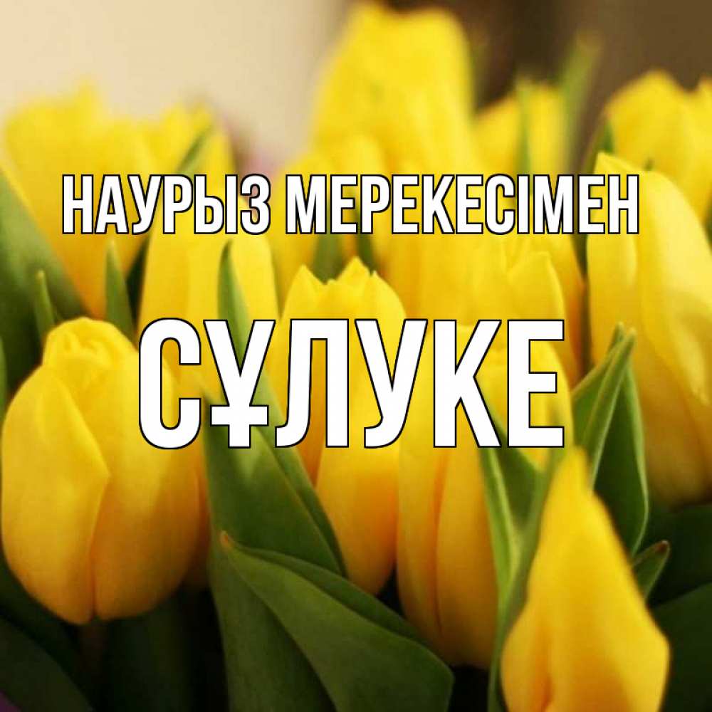 Күн сайын ашық хат с именем, СҰЛУКЕ Наурыз мерекесімен цветы Онлайн тегін жүктеп алу тілектері бар керемет карта 