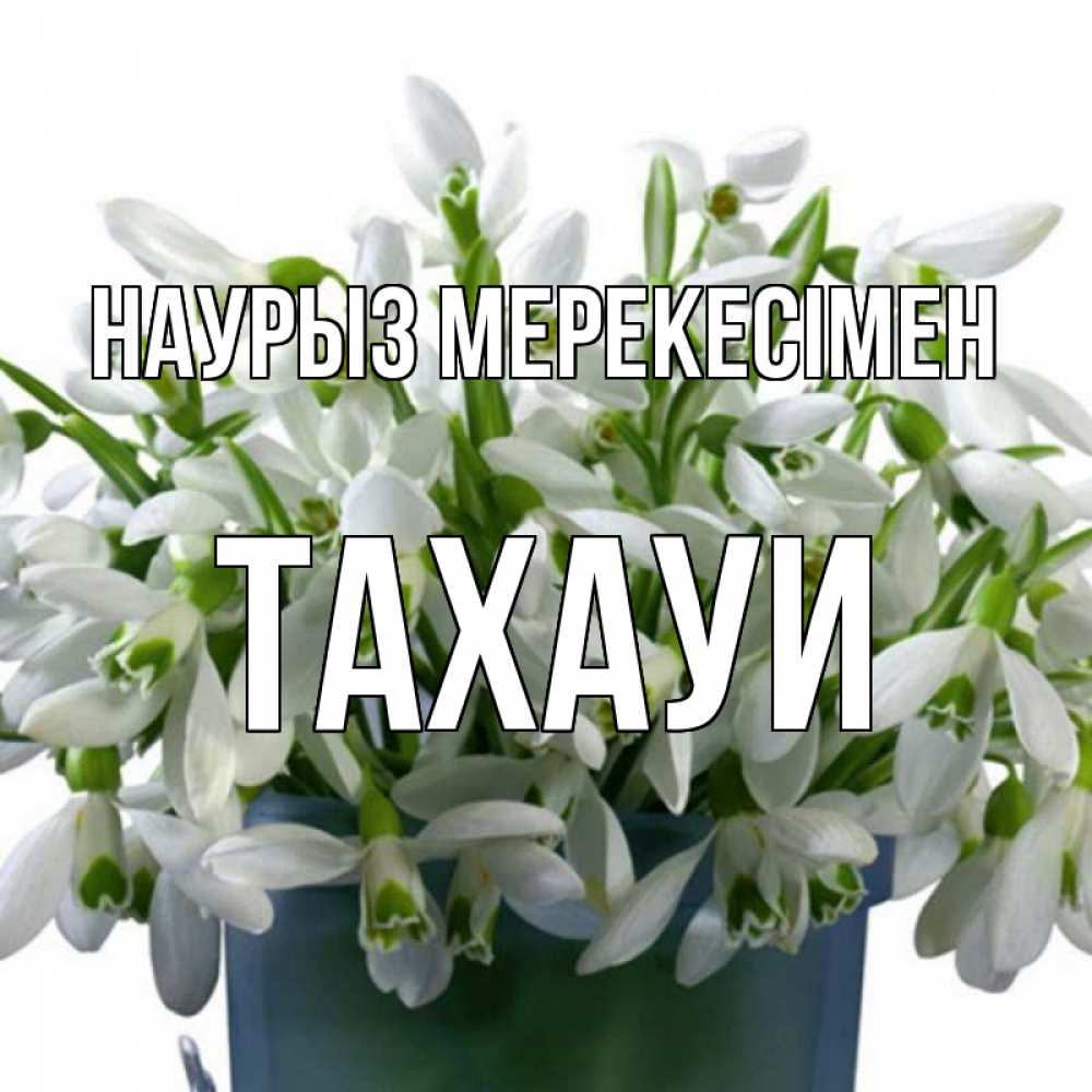 Күн сайын ашық хат с именем, ТАХАУИ Наурыз мерекесімен цветы к наурызу новый год в Казахстане Онлайн тегін жүктеп алу тілектері бар керемет карта 