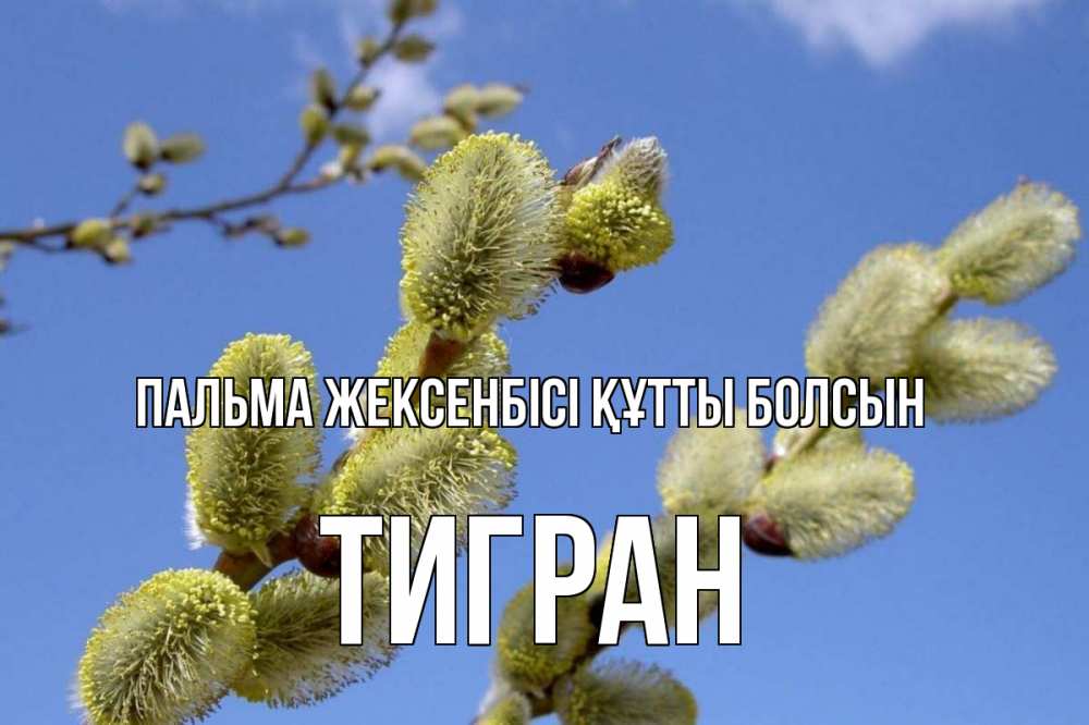 Күн сайын ашық хат с именем, Тигран Пальма жексенбісі құтты болсын верба Онлайн тегін жүктеп алу тілектері бар керемет карта 