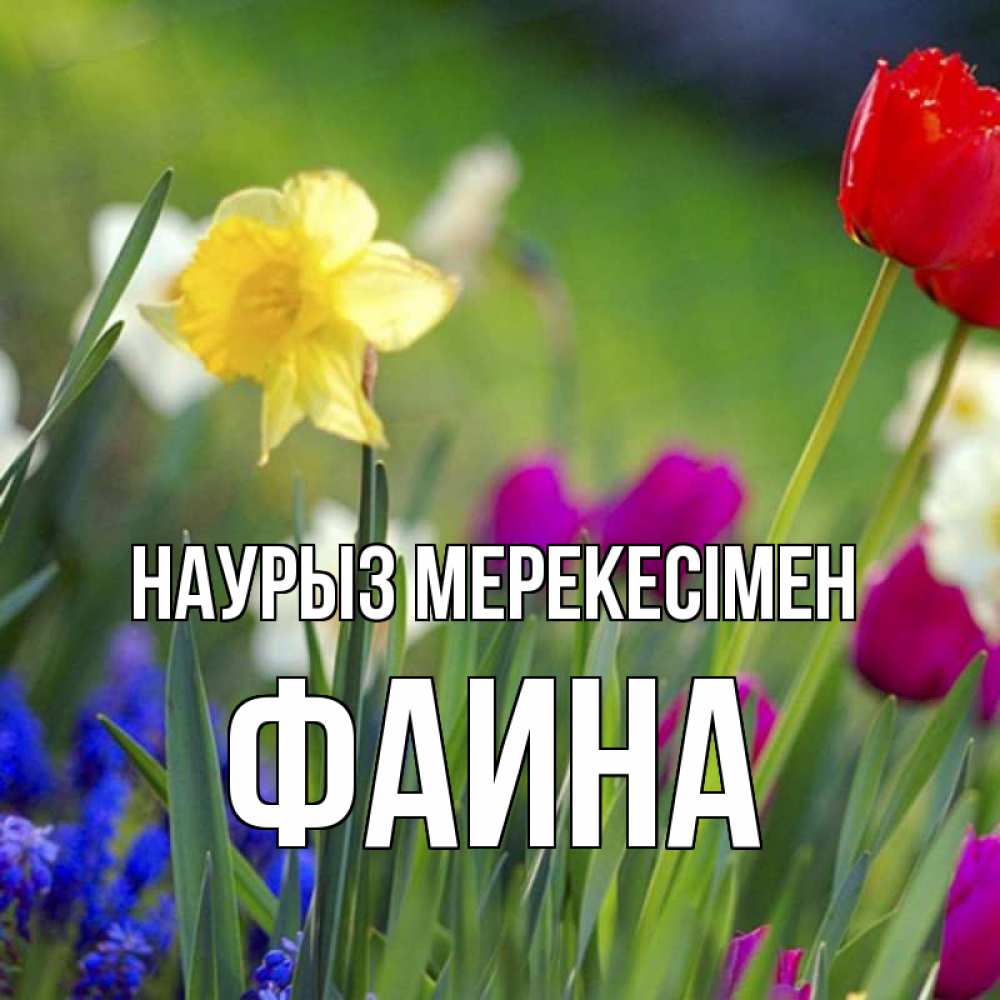 Күн сайын ашық хат с именем, Фаина Наурыз мерекесімен праздник весны наурыз 3 Онлайн тегін жүктеп алу тілектері бар керемет карта 
