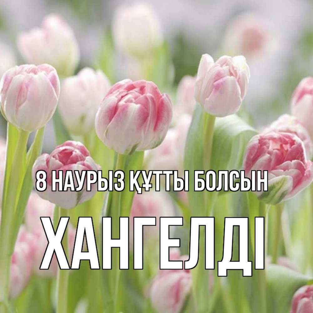 Күн сайын ашық хат с именем, ХАНГЕЛДІ 8 наурыз құтты болсын цветы Онлайн тегін жүктеп алу тілектері бар керемет карта 