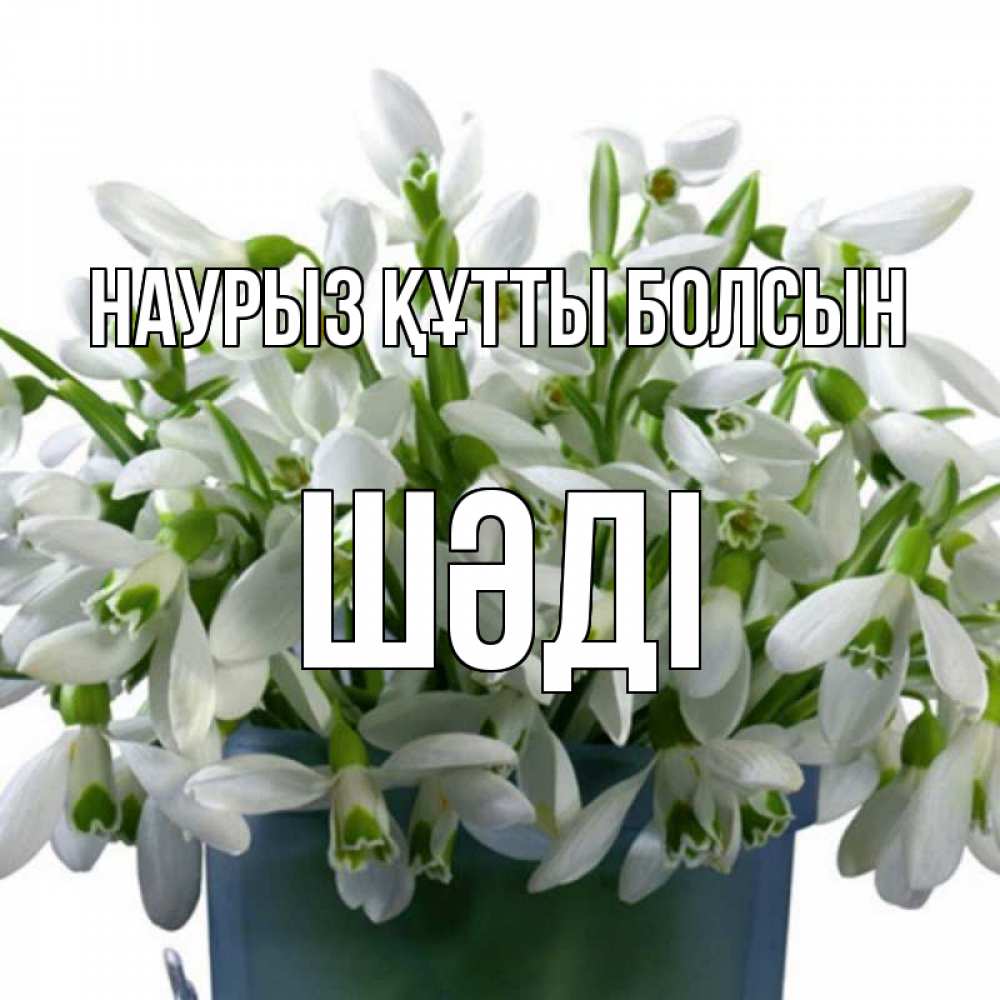 Күн сайын ашық хат с именем, ШӘДІ Наурыз құтты болсын цветы к наурызу Онлайн тегін жүктеп алу тілектері бар керемет карта 