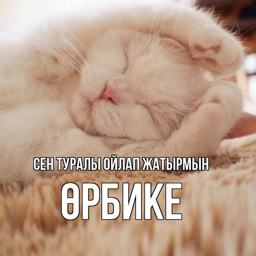 Күн сайын ашық хат с именем, ӨРБИКЕ Сен туралы ойлап жатырмын для любимой девушки милота Онлайн тегін жүктеп алу тілектері бар керемет карта 