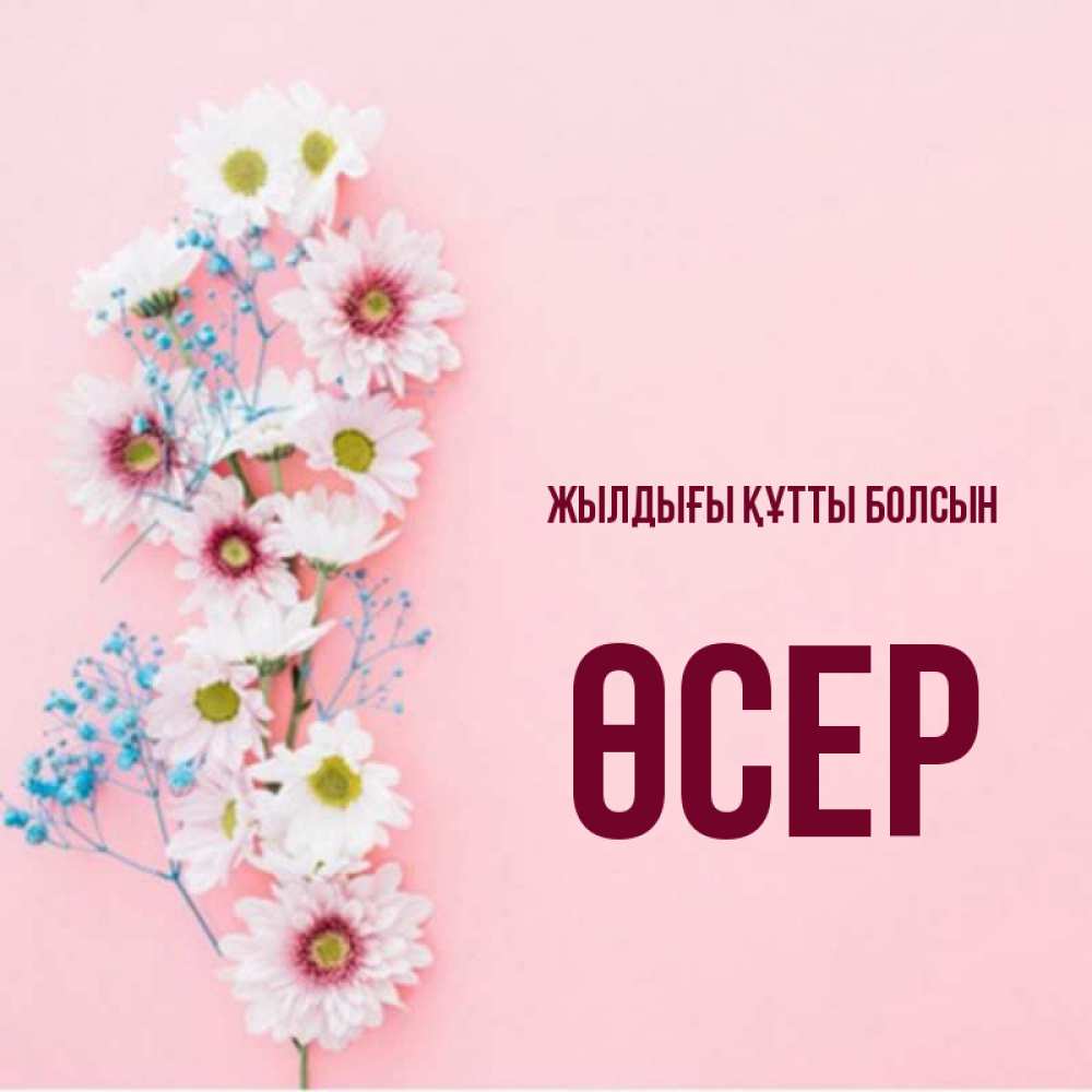 Күн сайын ашық хат с именем, ӨСЕР Жылдығы құтты болсын Родная моя с днем рождения тебя картинка с цветами белыми и голубыми Онлайн тегін жүктеп алу тілектері бар керемет карта 