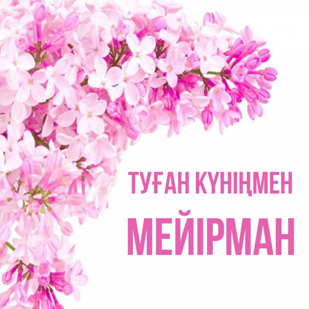 Күн сайын ашық хат с именем, МЕЙІРМАН Туған күніңмен Сирень на белом фоне Онлайн тегін жүктеп алу тілектері бар керемет карта 