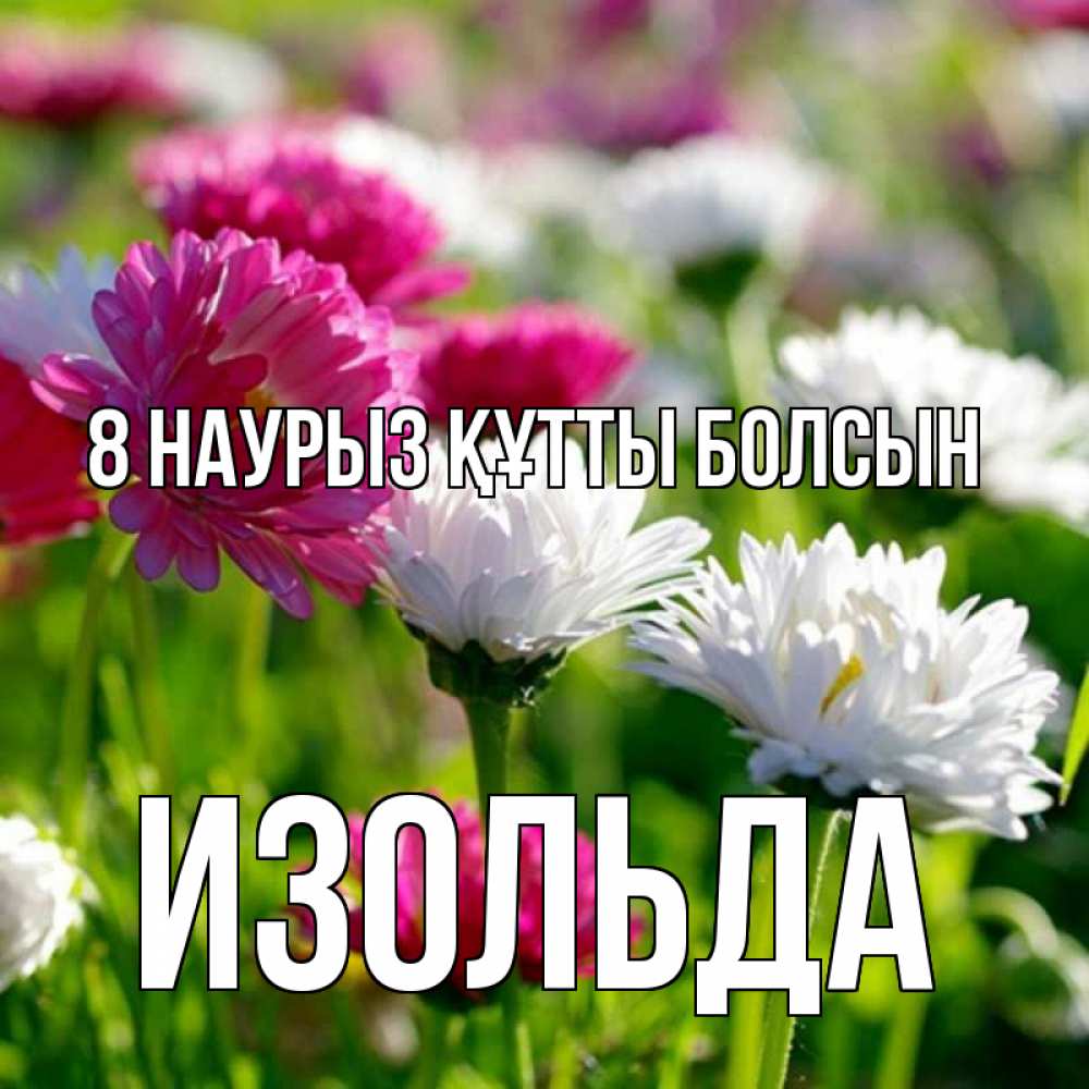 Күн сайын ашық хат с именем, Изольда 8 наурыз құтты болсын международный женский день 1 Онлайн тегін жүктеп алу тілектері бар керемет карта 