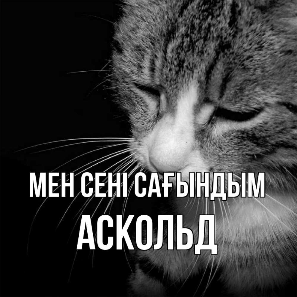 Күн сайын ашық хат с именем, Аскольд Мен сені сағындым мне скучно Онлайн тегін жүктеп алу тілектері бар керемет карта 