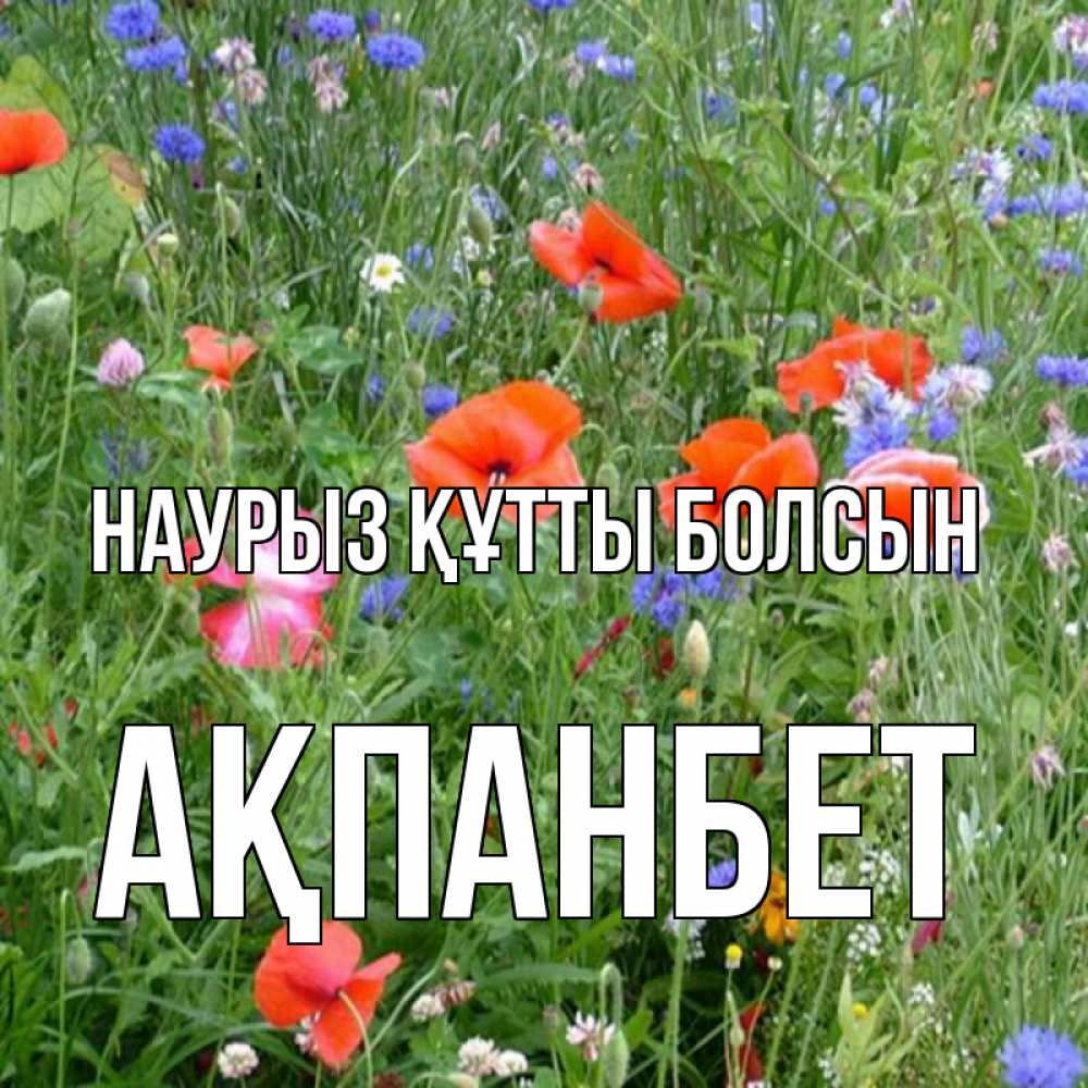 Күн сайын ашық хат с именем, Ақпанбет Наурыз құтты болсын наурыз  4 Онлайн тегін жүктеп алу тілектері бар керемет карта 